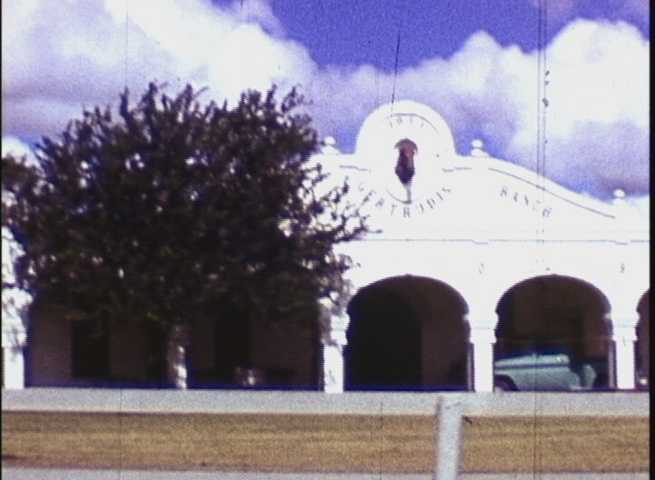 King Ranch - A.M. Harper Collection
