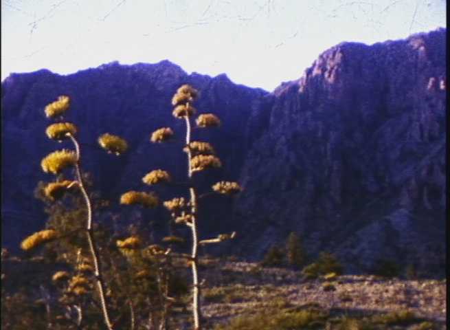Fort Davis (1963) - Hackney Family Collection
