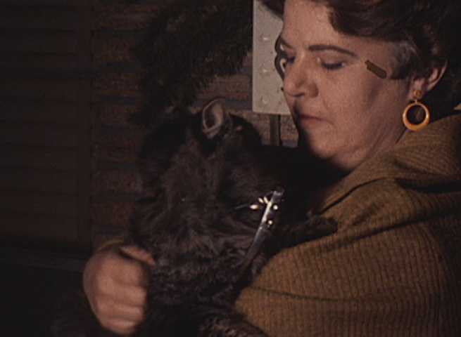Batman the Cat Rescued (1968) - KPRC-TV Collection