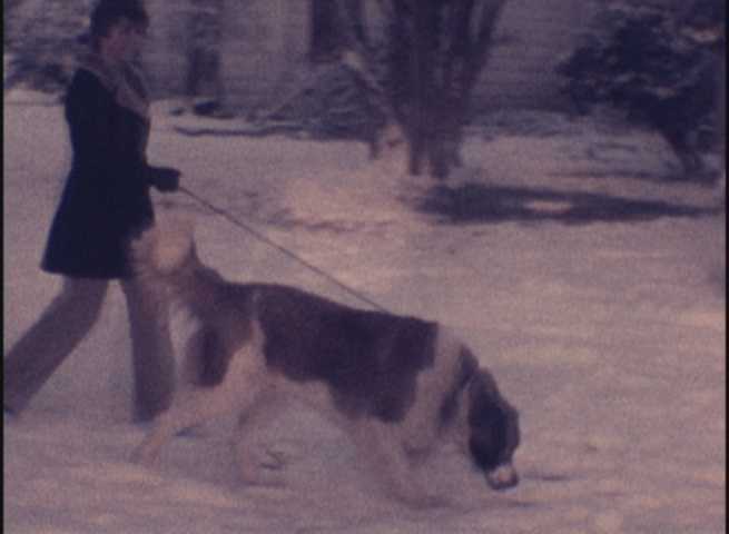 The Parish Family Collection Snow in Beaumont 1973